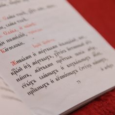21 апреля. Радоница.  Сме́рти пра́зднуем умерщвле́ние, а́дово разруше́ние, ино́го жития́ ве́чнаго нача́ло, и игра́юще пое́м Вино́внаго, еди́наго благослове́ннаго отце́в Бо́га и препросла́вленнаго.