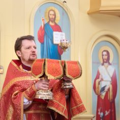 21 апреля. Радоница.  Сме́рти пра́зднуем умерщвле́ние, а́дово разруше́ние, ино́го жития́ ве́чнаго нача́ло, и игра́юще пое́м Вино́внаго, еди́наго благослове́ннаго отце́в Бо́га и препросла́вленнаго.