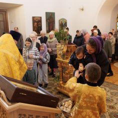 30 ноября. Божественная литургия.